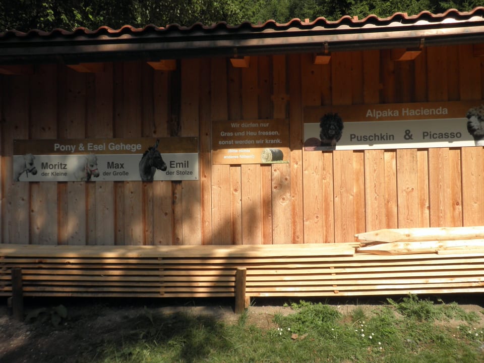 Die Tiere Oberjoch - Familux Resort