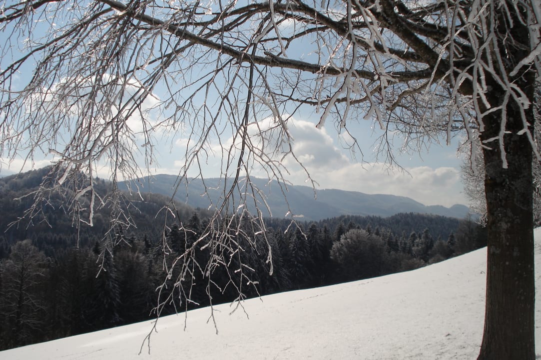 Sonstiges Moar am Hof