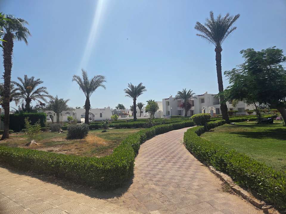 Gartenanlage Menaville Safaga