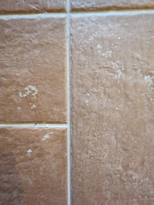 Zimmer Domes Aulūs Zante, Autograph Collection