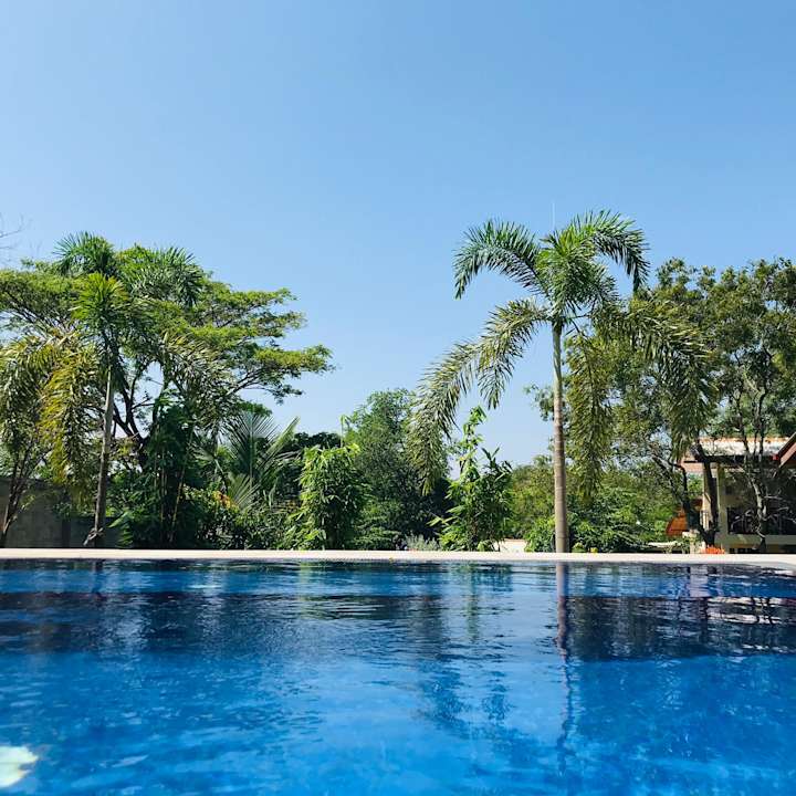 Pool Jungle Paradise