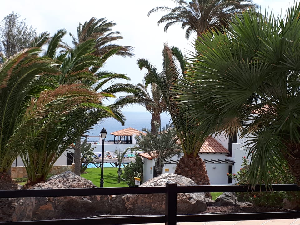 Ausblick TUI MAGIC LIFE Fuerteventura