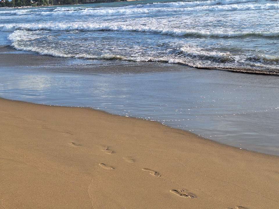 Strand Acanthus Cennet Barut Collection