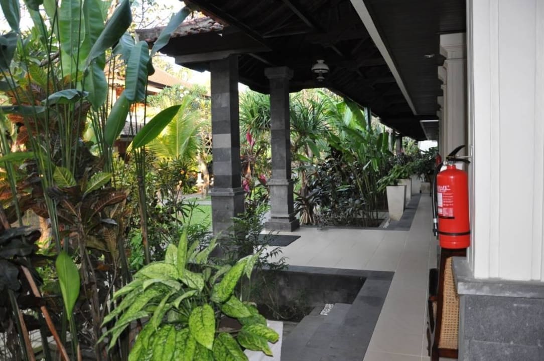 Blick vom Zimmer in den Garten Villa Shanti Beach