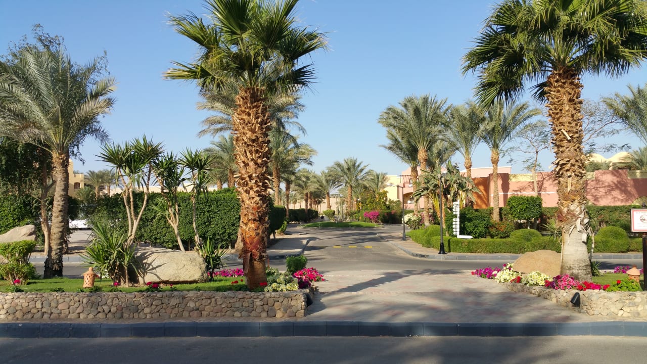 Gartenanlage Jaz Makadi Oasis Resort