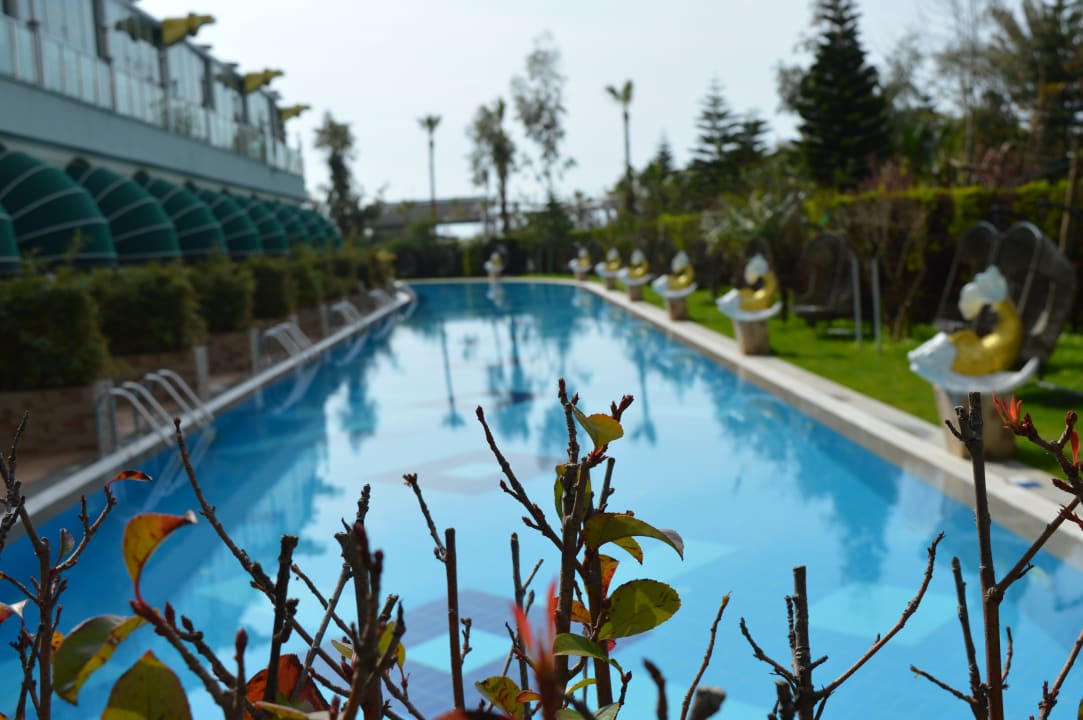 Pool Hotel Delphin Imperial