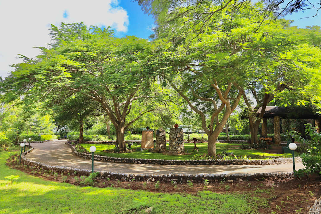 Gartenanlage Taita Hills Safari Resort & Spa