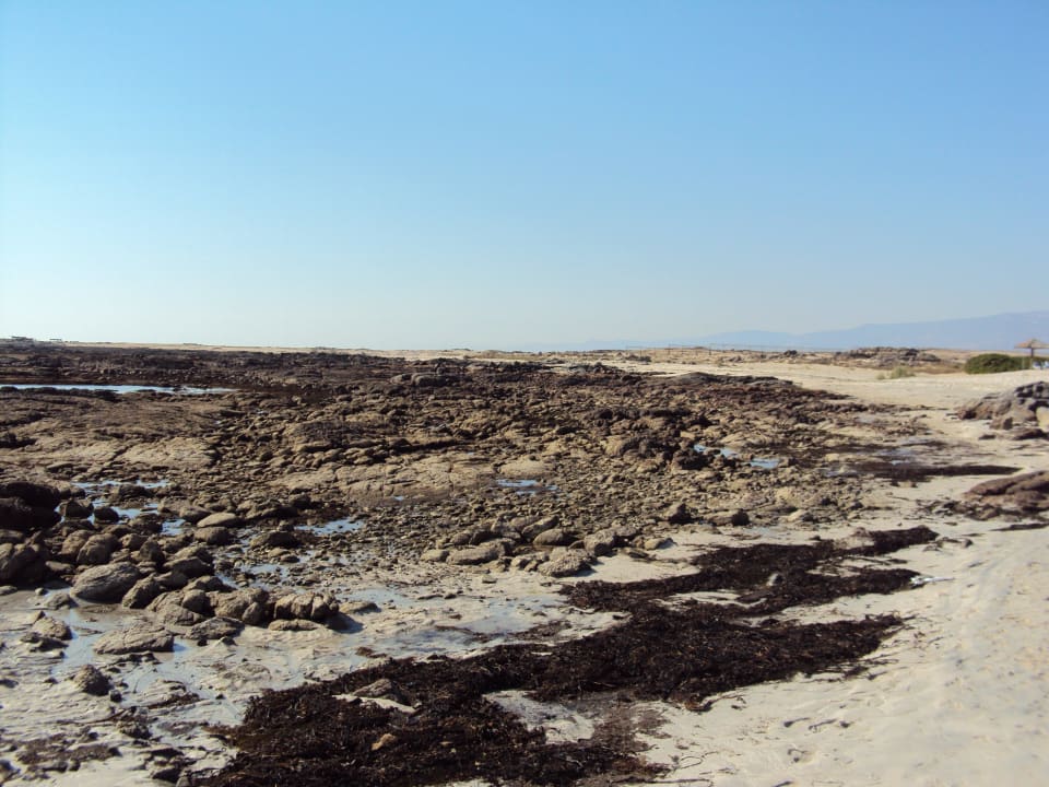 Bei Ebbe Wyndham Garden Salalah Mirbat