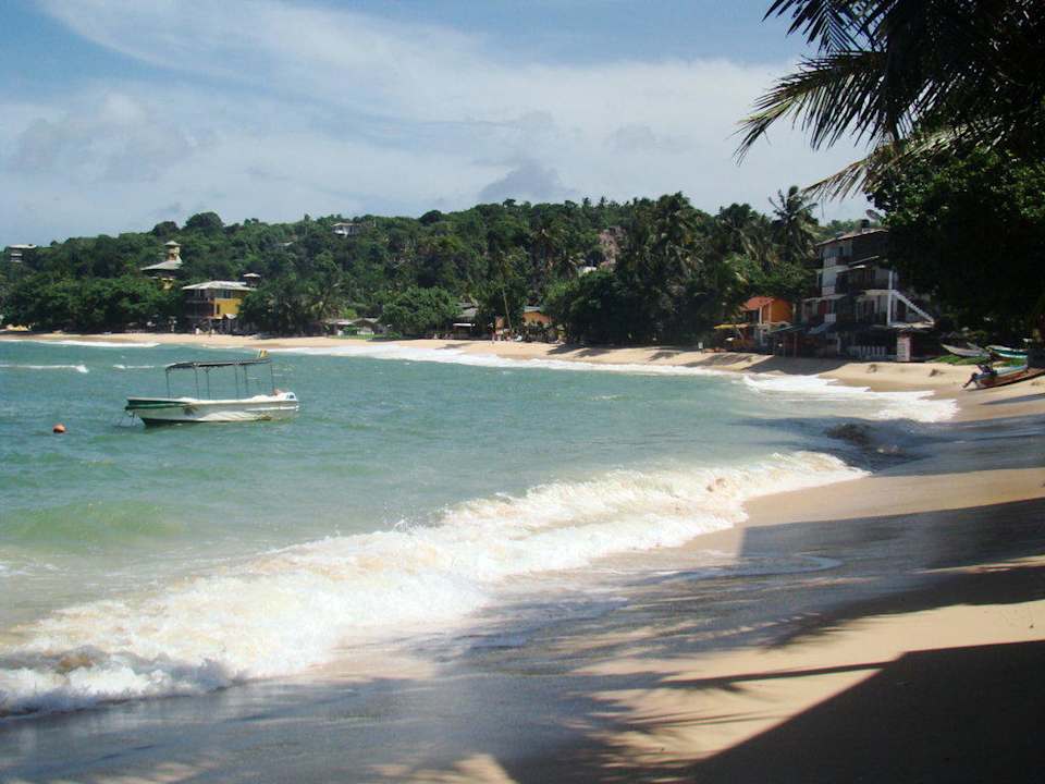 Beach Calamander Unawatuna Beach Resort