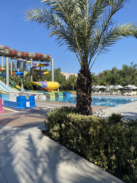 Pool Royal Seginus