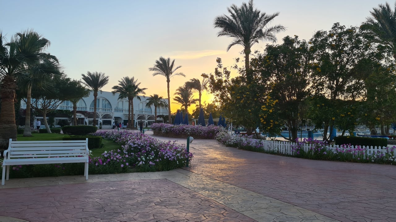 Gartenanlage Desert Rose