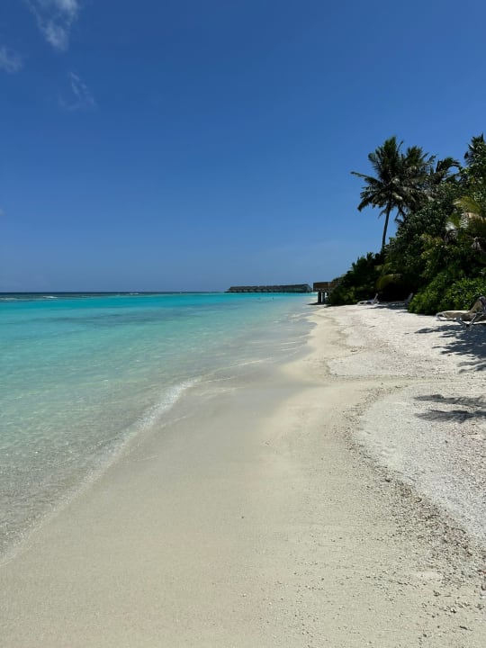 Strand Kuramathi Maldives