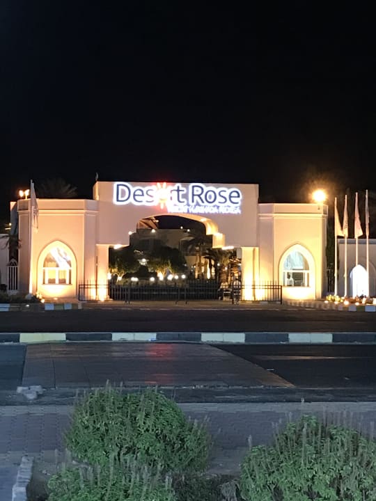 Außenansicht Desert Rose