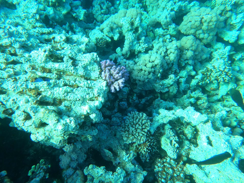 Sport & Freizeit Stella Beach Resort & Spa Makadi Bay