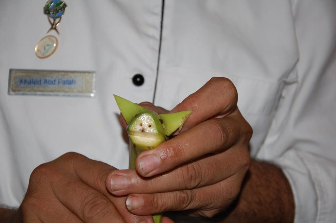 Themenabend Beach Albatros Resort