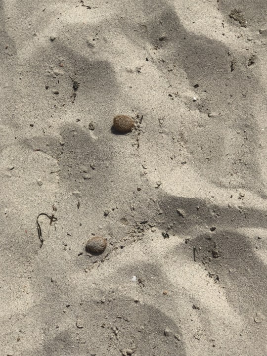 Strand Hotel Djerba Resort