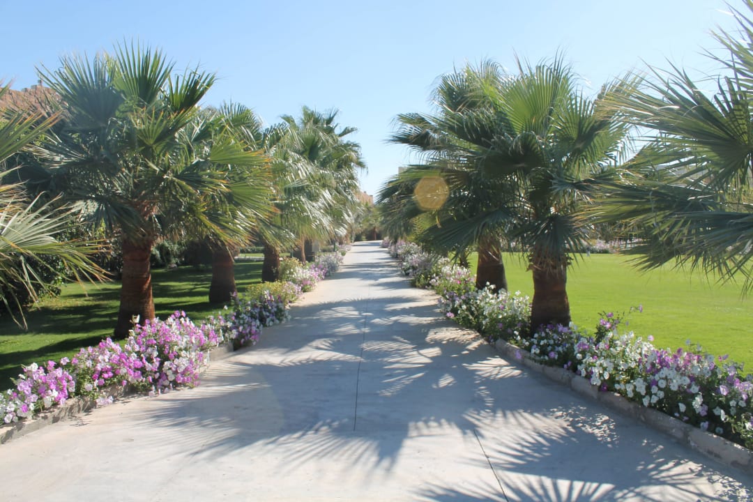 Все в зелени Brayka Bay Resort