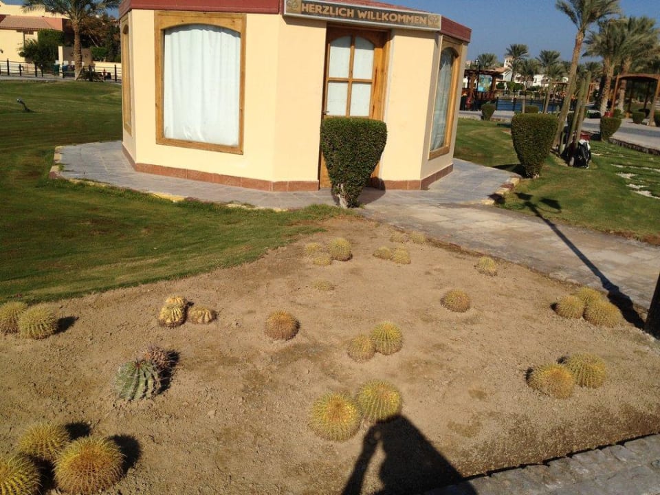Außen Pickalbatros Dana Beach Resort - Hurghada
