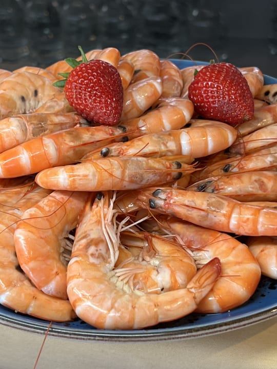 Gastro Club Maspalomas Suites & SPA