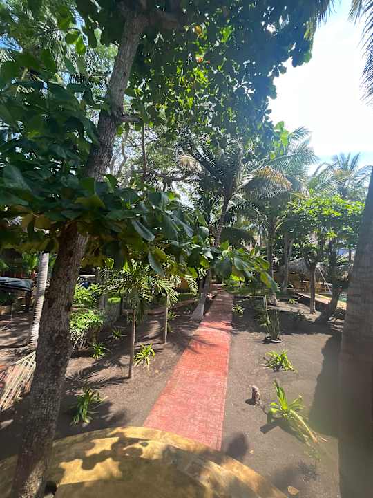 Gartenanlage Hotel Pez de Oro