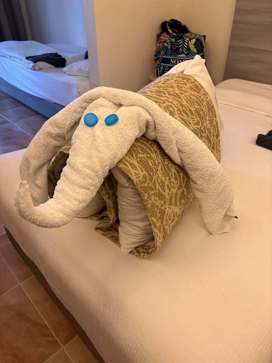 Zimmer Beach Albatros Resort