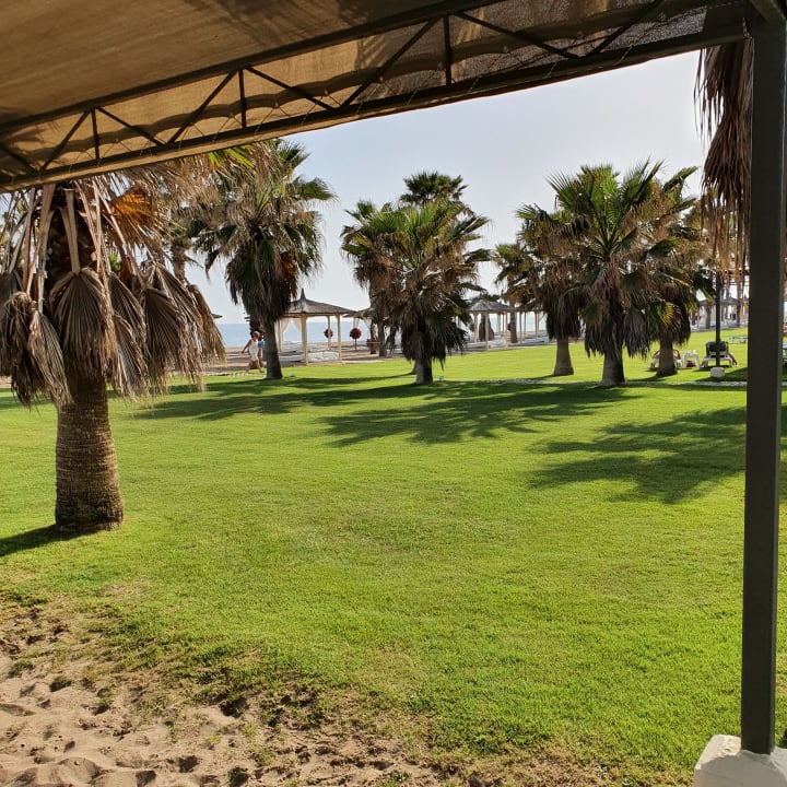 Strand ROBINSON NOBILIS