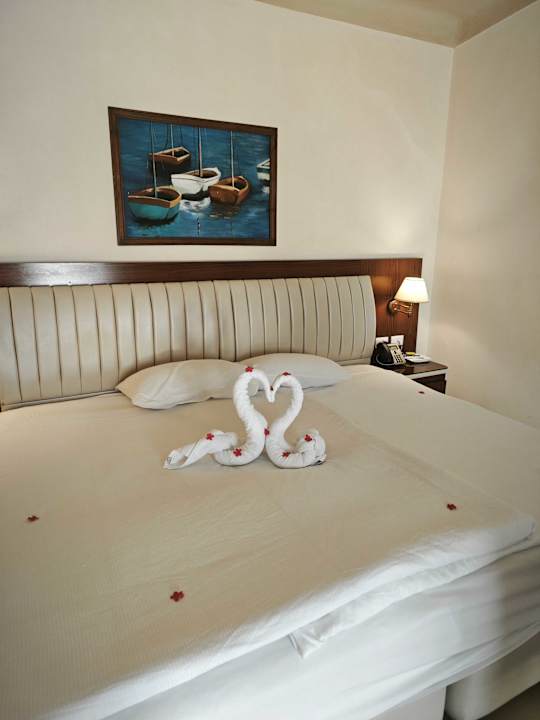 Zimmer Pickalbatros Citadel Resort