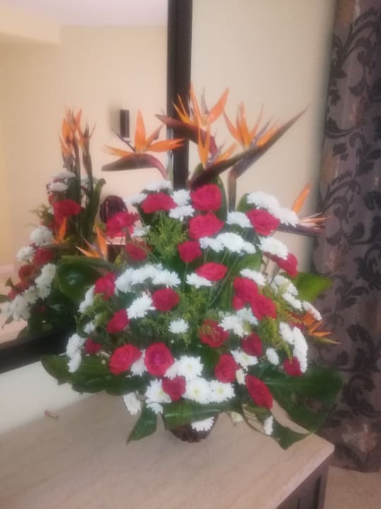 Sonstiges Casa Mare Resort