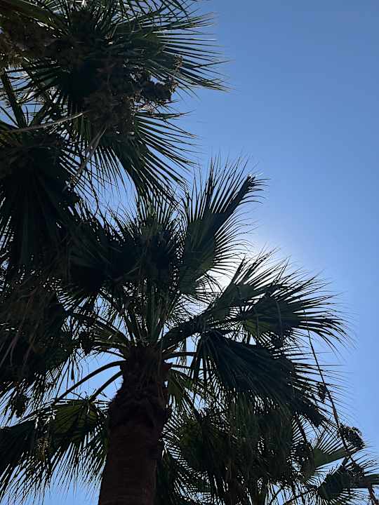 Außenansicht Kaia Coracesium