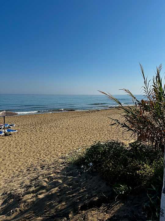 Strand allsun Hotel Carolina Mare