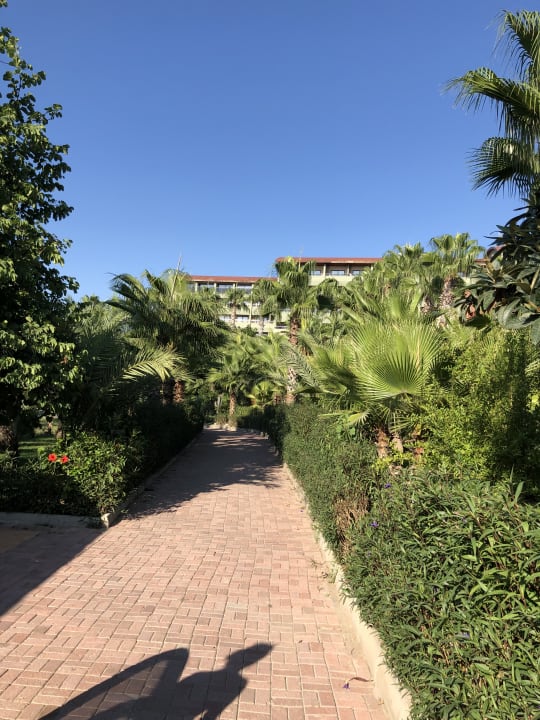 Garten Seaden Corolla Hotel