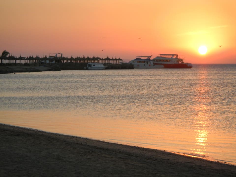 Sonnenaufgang Pickalbatros Palace Resort
