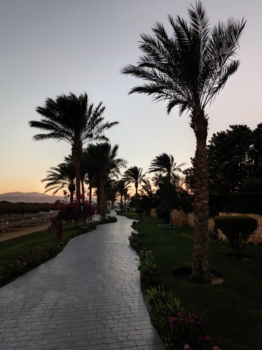 Gartenanlage Sentido Caribbean World Soma Bay
