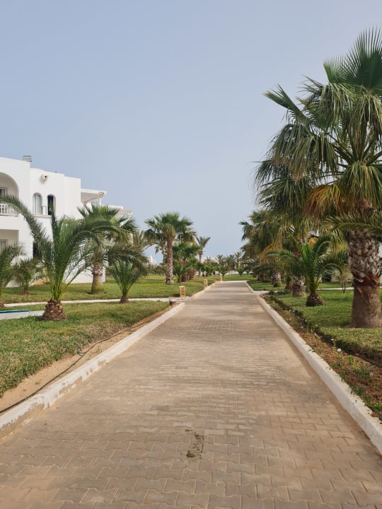 Gartenanlage Vincci Helios Beach