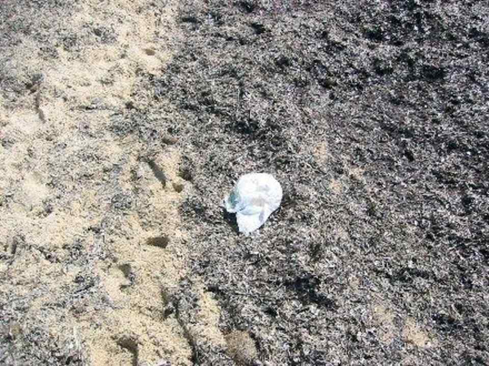 Strand2 Hotel African Queen