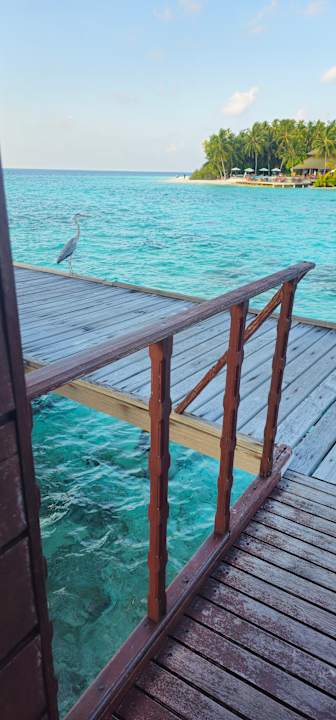 Ausblick Filitheyo Island Resort