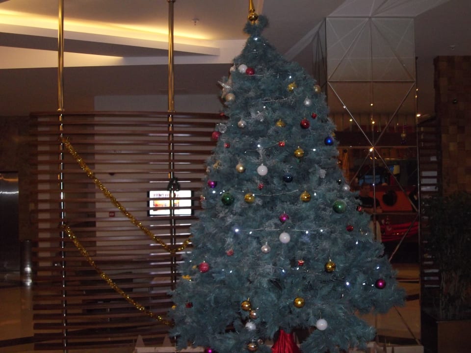 Weihnachstbaum in der Lobby Commodore Elite Suites & Spa - Adults only