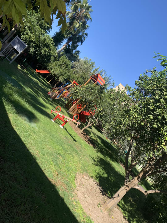 Gartenanlage Trendy Palm Beach (Adults Only, 16+)