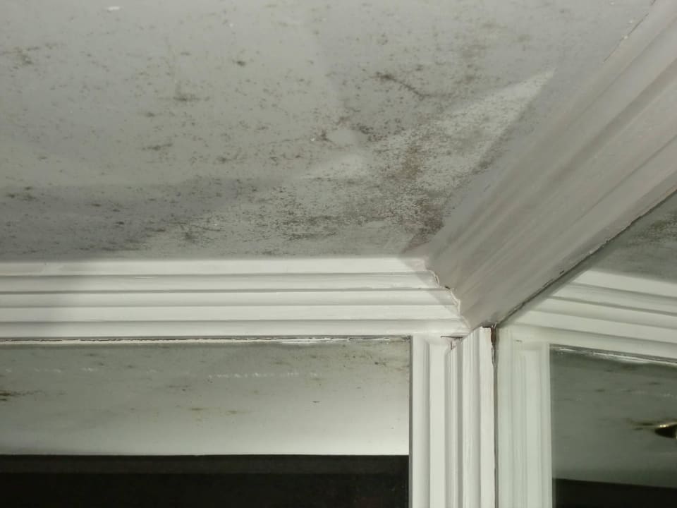 Bild Seehotel Waltershof im Malerwinkel