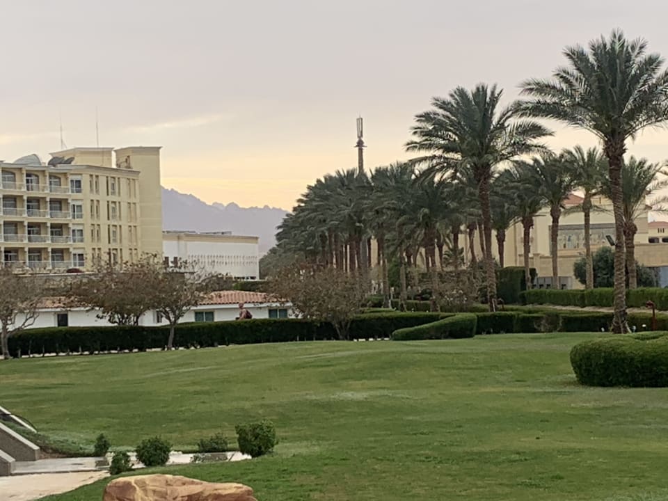 Gartenanlage Palm Royale Resort - Soma Bay