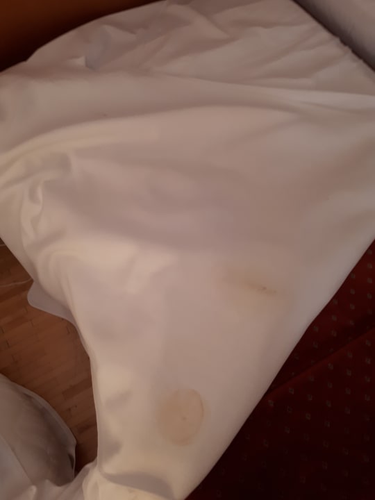 Zimmer Hotel Europahaus Wien