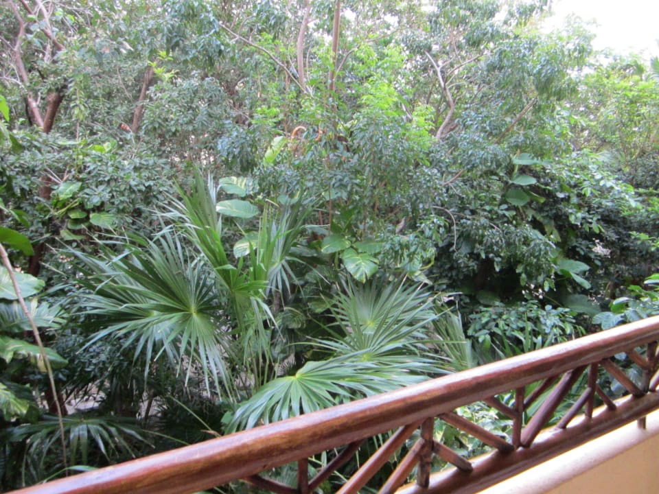 Aussicht mittlere Etage Catalonia Royal Tulum Beach & Spa Resort - Adults only