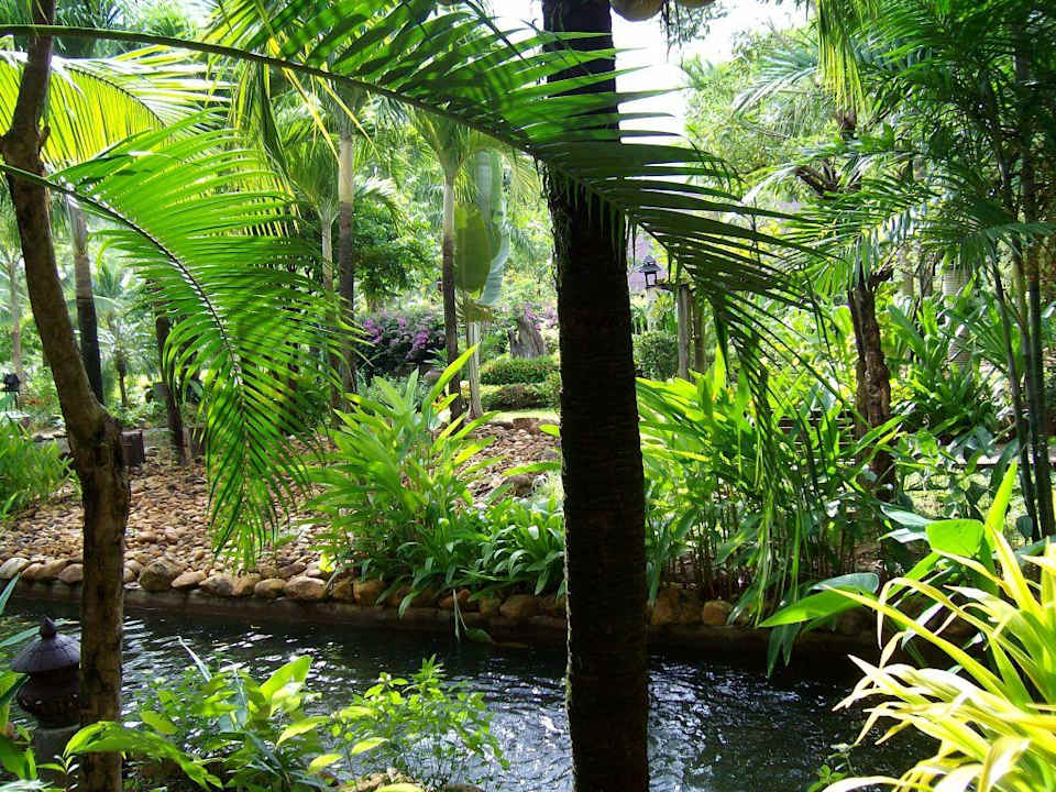 Blick vom Balkon in die "grüne Hölle"  Annika Koh Chang