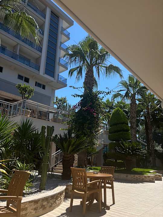 Gartenanlage Dizalya Palm Garden