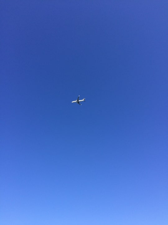 Zimmer Mitsis Selection Rinela