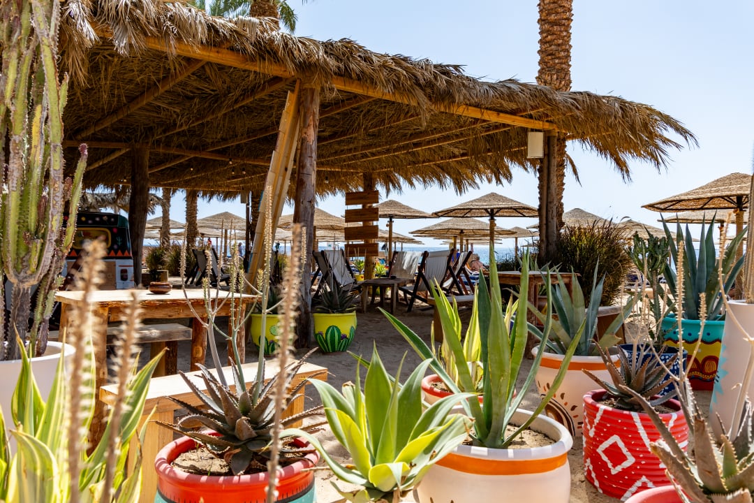 Gastro Fort Arabesque Resort, Spa & Villas