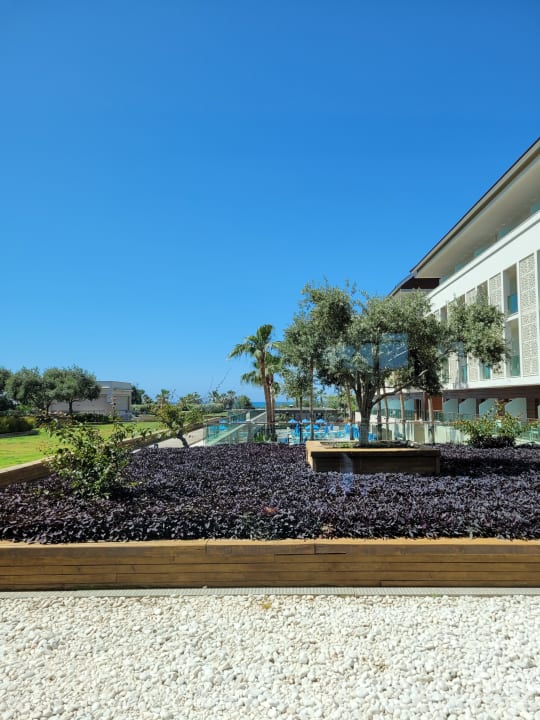 Ausblick Sentido Trendy Verbena Beach