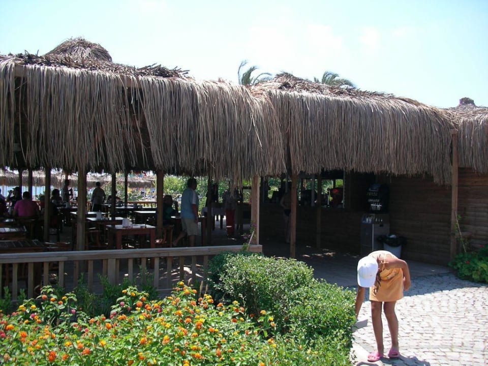 Beachbar & Snackbar Arcanus Hotels Sorgun