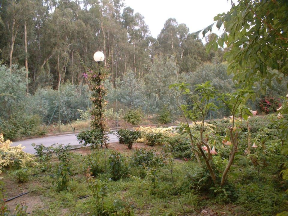 Blick von der Terrasse TUI MAGIC LIFE Calabria