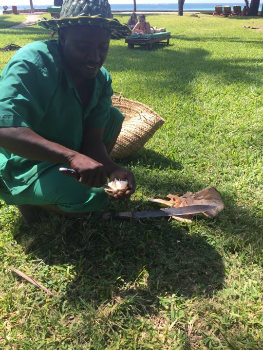 Gartenanlage Neptune Village Beach Resort & Spa